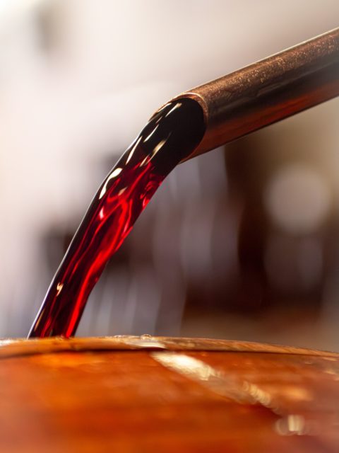 Garanta seu vinho favorito e transforme qualquer noite de “inverno” em um momento especial. ✨🍇
E ainda nem chegou de fato o inverno, ein 🙏🙌✨
Viva o outono e esse clima delicioso. 
#vinhosdofrade #42anos #diferentedetodosigualaoseupaladar
